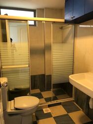 Emerald Park (D3), Condominium #559199901